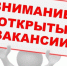 Внимание, вакансии!. - Город Бородино